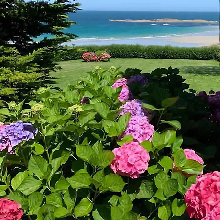 Les Tortues, Maison Bord De Mer, A 200 M Dom wakacyjny